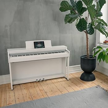 Amazon.com: Kawai CN201 Digital Piano - Premium Satin White